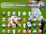 Take a team to the 2010 World Cup Final!