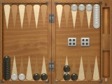 Classic Backgammon in action.